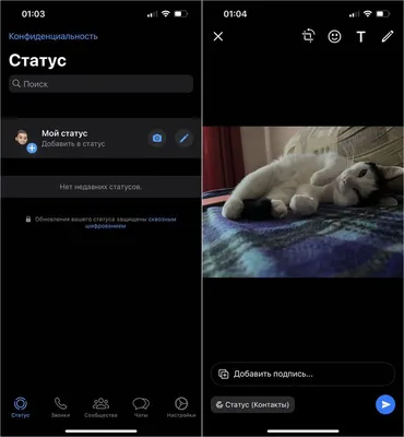 Что такое статус в Ватсап и как им пользоваться | AppleInsider.ru картинки