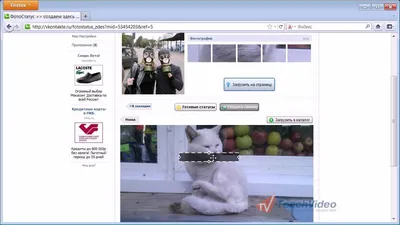 Как сделать фото статус Вконтакте? - YouTube картинки
