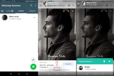 Как узнать, кто смотрел ваш профиль и статус в WhatsApp картинки