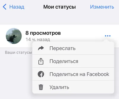 Как заработать на статусах в WhatsApp? картинки