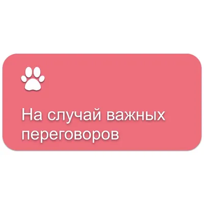 На случай важных переговоров — Команды для iOS (Shortcuts) картинки