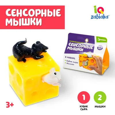 Развивающая игрушка «Сенсорные мышки» (5137942) - Купить по цене от 209.00  руб. | Интернет магазин SIMA-LAND.RU картинки