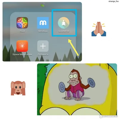 Приложение QuietMind - «😌✨ Лучшее приложение для медитации, если вам нужен  только таймер со спокойным сигналом 🙏🏻🎶» | отзывы картинки