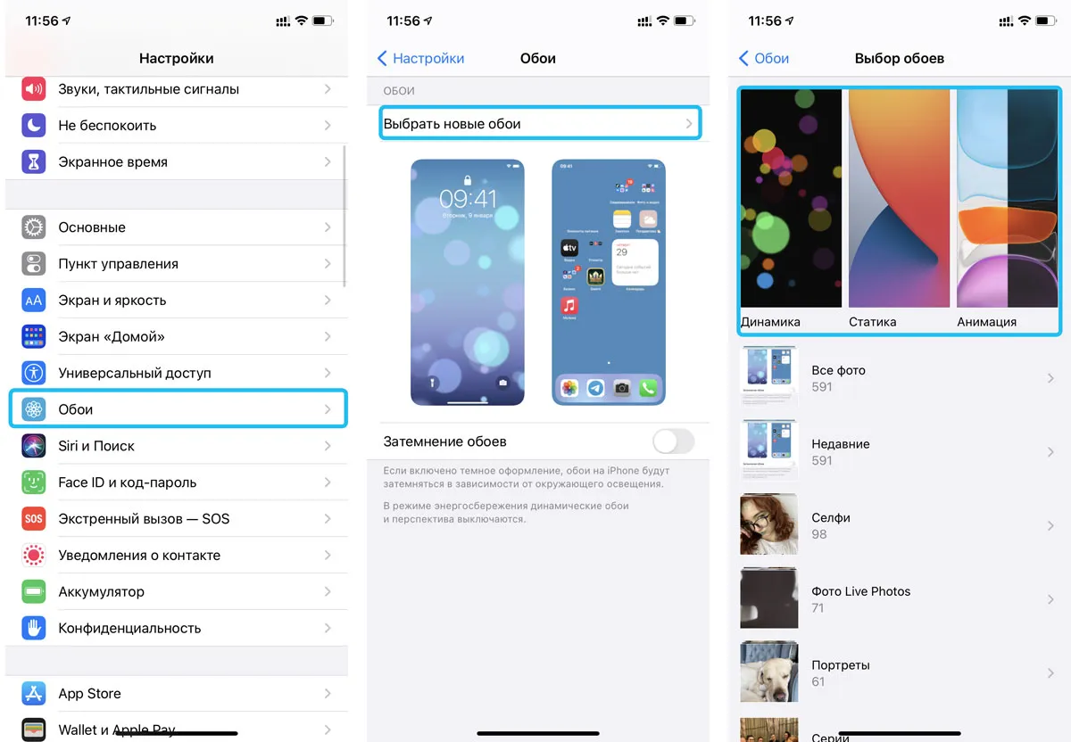 Как поставить фото на айфон 11. Как поставить живые обои на айфон. Как установить живые обои на айфон. Как поставить живые обои на айфон 5 s. Обои установленные на айфоне.