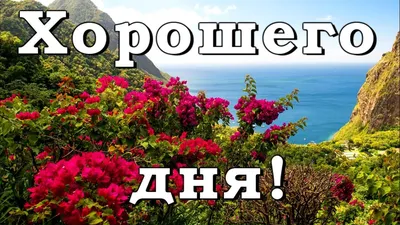 Пожелания хорошего дня в картинках, своими словами, в стихах, в смс и  христианские пожелания доброго дня — Украина — tsn.ua картинки