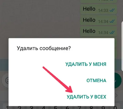 Как редактировать и отменить сообщение в Whatsapp? картинки