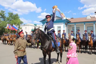 Водолацкий: в зоне СВО находятся 5,5 тысяч казаков-добровольцев | ПОЛИТИКА:  Власть | ПОЛИТИКА | АиФ Ростов-на-Дону картинки