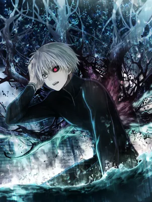 Фото Kaneki Ken / Канеки Кен из аниме Tokyo Ghoul / Токийский Гуль картинки