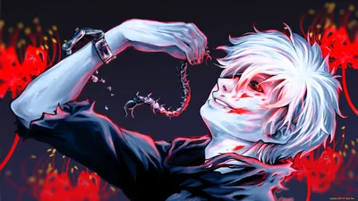 Обои Аниме Tokyo Ghoul, обои для рабочего стола, фотографии аниме, tokyo  ghoul, гуль, сумасшествие, сороконожка, канеки, кен Обои для рабочего  стола, скачать обои картинки заставки на рабочий стол. картинки