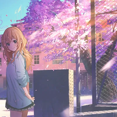 Живые обои Your lie in April Kaori - Wallpaper Engine картинки