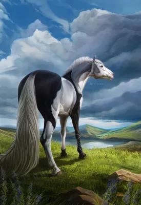 YHH illustration for tkcanine by Firu-sozo on DeviantArt | Horse painting,  Horse drawings, Horse artwork картинки