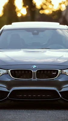 Обои на телефон bmw, вид спереди, авто - скачать бесплатно в высоком  качестве из категории \ картинки