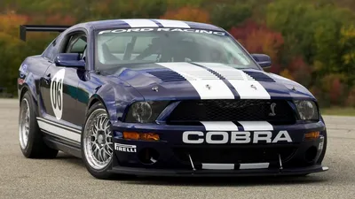 Картинка форд, cars, авто обои, мустанг, тачки, cobra, muscle car, кобра,  fr500-gt, mustang, auto wallpapers, авто фото, ford 1920x1080 скачать обои  на рабочий стол бесплатно, фото 81495 картинки