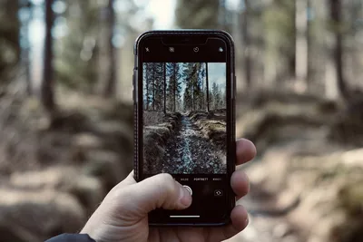 Как делать красивые снимки на iPhone для Instagram | Статьи | Фото, видео,  оптика | Фотосклад Эксперт картинки