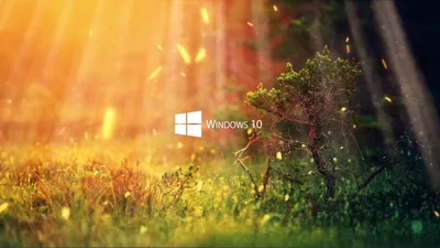 Живые обои Nature 1080P - Windows 10 Series - Wallpaper Engine картинки