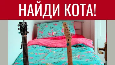 НАЙДИ КОТА 🐈 Попробуй найти кота на картинке. БУДЬ В КУРСЕ TV - YouTube картинки