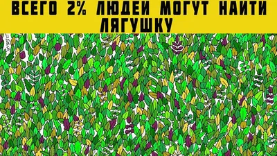 ТОЛЬКО 2% СМОГУТ НАЙТИ ВСЕХ. НАЙДИ НА КАРТИНКЕ ГОЛОВОЛОМКЕ ЛИШНИЙ ПРЕДМЕТ -  YouTube картинки