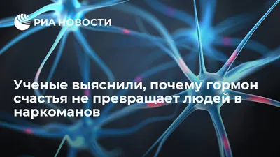 Ученые выяснили, почему гормон счастья не превращает людей в наркоманов -  РИА Новости, 11.05.2018 картинки