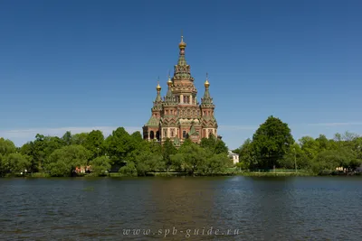 Собор Петра и Павла в Петергофе картинки