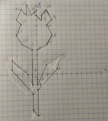 Даю 10 балов нарисовать цветок по координатам\u200b - Школьные Знания.com картинки
