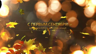 Поздравления с 1 Сентября проекты After Effects картинки