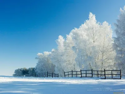 Обои Природа Зима, обои для рабочего стола, фотографии Обои для рабочего  стола, скачать обои картинки заставки на рабочий стол. картинки