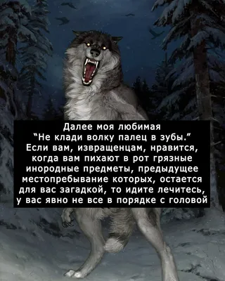 Не бесите волков. | Пикабу картинки