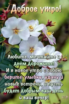 Доброе утро! 💝 | Цитаты про доброе утро, Позитивные цитаты, Доброе утро картинки