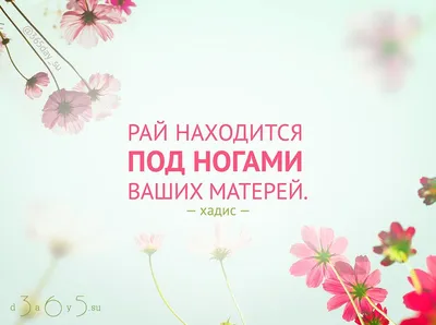 Заслужить довольства матери при её жизни... #хадис #Мухаммад #ислам  #мусульмане #рай #мать #мама #мусульманскийкалендарь #цитатокартинки… |  Ислам, Мама, Мотивация картинки