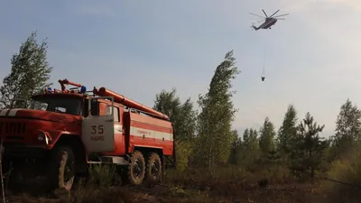 В Рязанской области локализовали крупный верховой пожар - РИА Новости,  19.08.2022 картинки