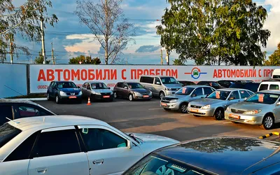 Подержанные автомобили ждут жесткие проверки: что изменится с 1 июля ::  Autonews картинки