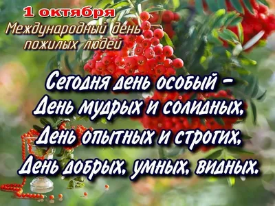 🍃❤️🌼🌿🌹🌿🌼❤️🍃 С Днём пожилого человека 1 октября! | 1 октября, Важные  даты, Праздник картинки