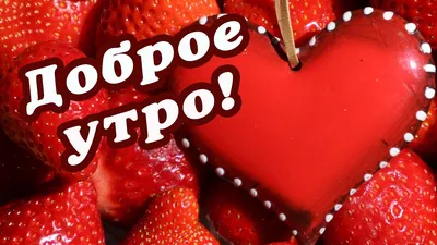 🌺 ДОБРОЕ УТРО / ДОБРОГО УТРА / ДОБРОЕ УТРЕЧКО / ДОБРОЕ УТРО ЛЮБИМАЯ / С  ДОБРЫМ УТРОМ / ЛЮБИМОЙ 🌺 - YouTube | Радужные розы, Доброе утро, Открытки картинки