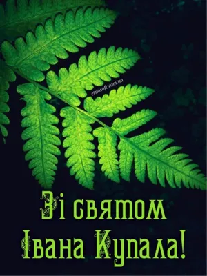 С праздником Ивана Купала 2022 - красивые поздравления и открытки - Афиша  bigmir)net картинки