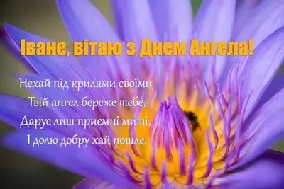 Нехай під крилами своїми твій ангел береже тебе - Поздравления на все  праздники на русском языке картинки