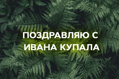 С праздником Ивана Купала! Лучшие поздравления в стихах, прозе и картинках картинки