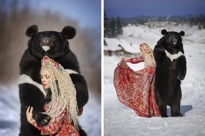 Сибирячка снялась в сказочной фотосессии с живым медведем в Новосибирске 20  марта 2022 года - 20 марта 2022 - НГС картинки