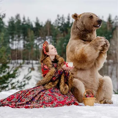 Подарочный сертификат на профессиональную фотосессию с медведем в стиле  русской сказки картинки