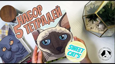 Тетрадь с котиками PAPPI STORE (5 шт.) - Милые котики Sweet cats - в клетку  24 листа, матовая обложка — купить в интернет-магазине OZON с быстрой  доставкой картинки