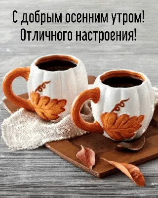 Гифки \ картинки