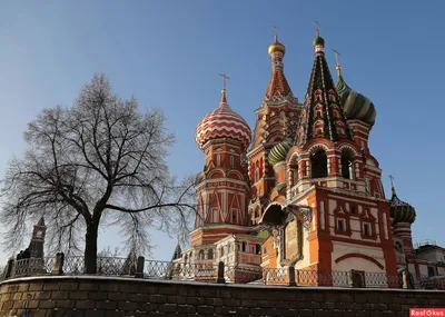 Фото: С Праздником Покрова Пресвятой Богородицы. Фотограф Наталья  Задерновская. Природа - Фотосайт Расфокус.ру картинки