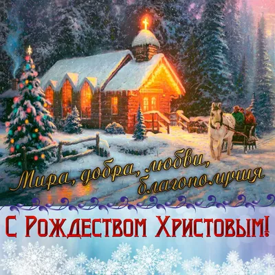 Рождество 25 декабря - открытки, картинки на Вайбер, поздравления с  католическим Рождеством - Телеграф картинки