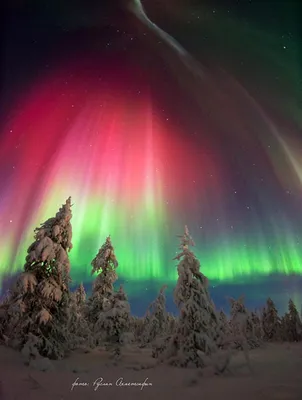 Северное сияние красивые фото - Northern Lights photo картинки