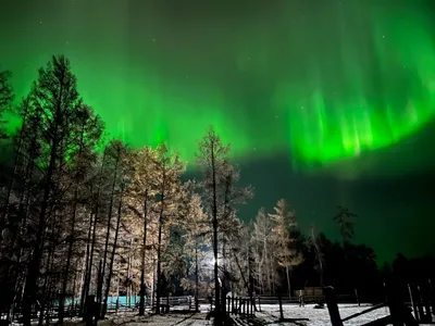 Якутяне делятся в соцсетях фотографиями северного сияния картинки