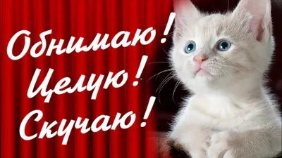 Обнимаю! Целую! Скучаю! Для тебя! - YouTube картинки