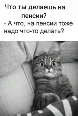 Что ты делаешь на пенсии А что на пенсии тоже надо что то делать - выпуск  №1548114 картинки