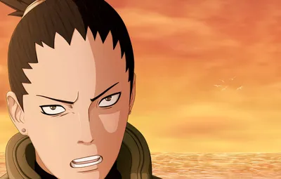 Обои взгляд, Naruto Shippuden, Shikamaru, Шикамару картинки на рабочий  стол, раздел прочее - скачать картинки