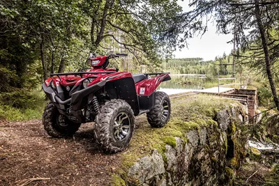 Фото ATV 2017 Yamaha Grizzly 700 EPS Limited Edition картинки