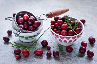 Фото Cranberry Клюква Ягоды Ветки Продукты питания Цветной фон картинки