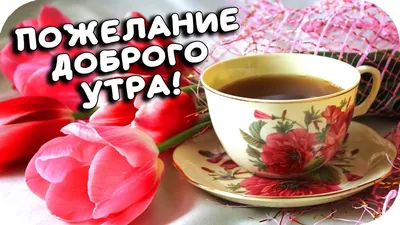 С пожеланием доброго утра картинка #421858 - ДОБРОЕ УТРО! Музыкальная  открытка с добрым утром! Пожелание доброго утра и хорошего дня! (2020) |  Открытки, Доброе утро, Праздник - скачать картинки